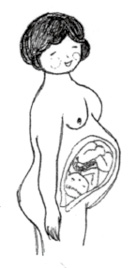 吉田さんが描いた妊婦のイラスト